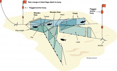 Commercial Fish Net illustration